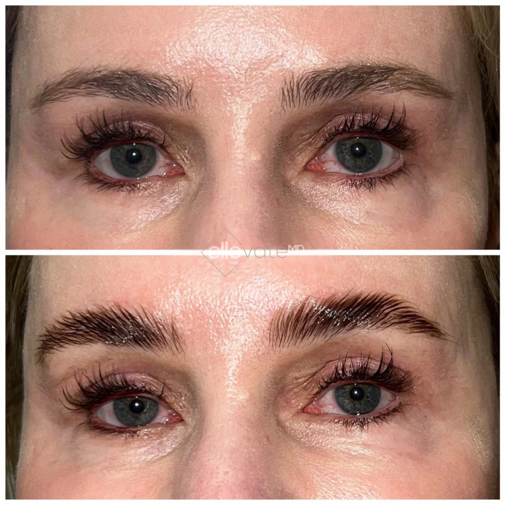 ellevate - 2025-03-23T112433.475